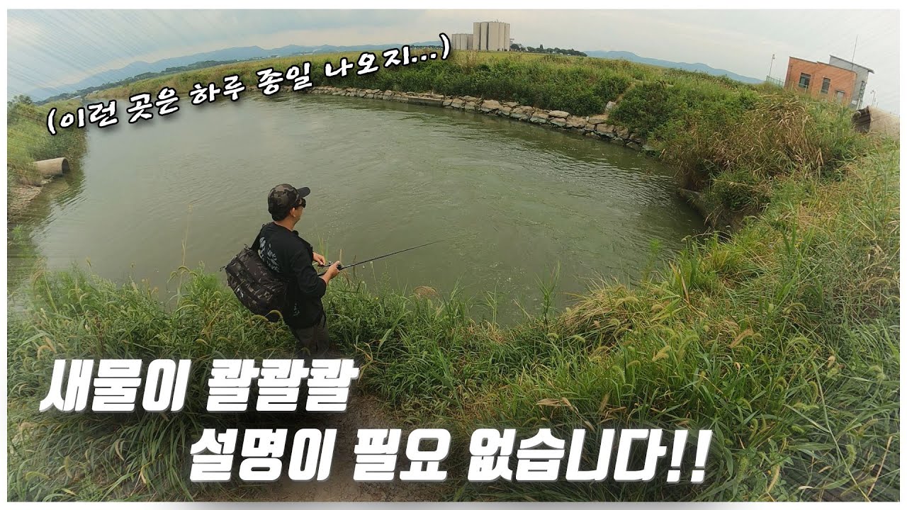 배스가 없을 수가 없잖아요? *특별 게스트 있음* (feat. 박성완 )