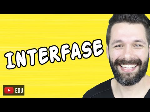 Vídeo: Diferença Entre Interfase E Prófase