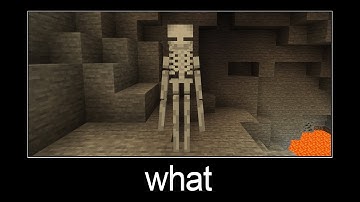 Minecraft wait what meme part 121 (enderman skeleton)