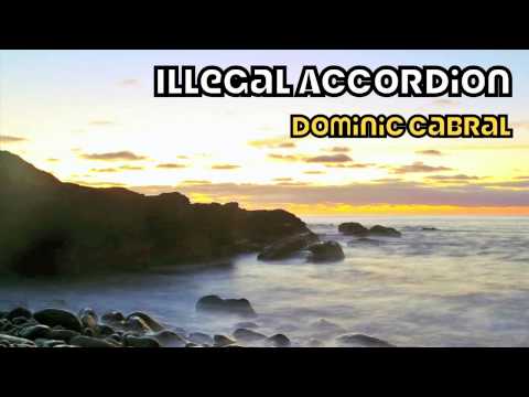 Illegal Accordion Dance Music *NEW*