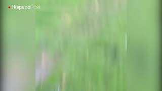 Por grabar un comercial esta modelo mexicana terminó con un collarín screenshot 2