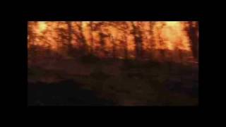 Cooking With Totheark