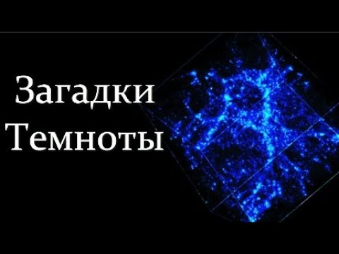 Video: Термиттердин колониясы эне аарысыз жашай алабы?