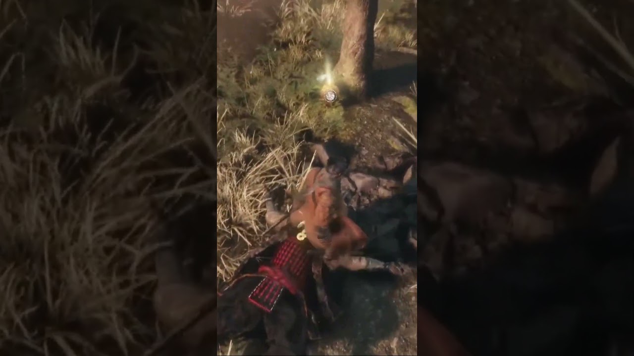 Best Sekiro Mechanic!!!! 