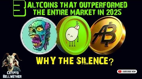 WARNING: Everyone Missed These 3 Altcoins That Exploded 1,000%+ in 2025 & can DO IT Again in 2026?