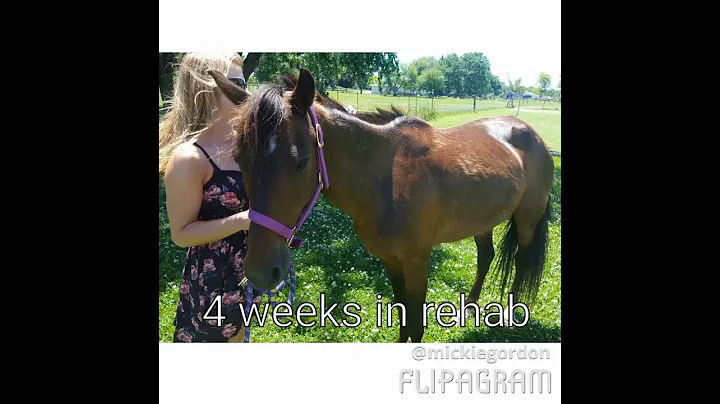 Look at how well Cocoa is rehabbing!