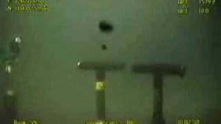 July 31 Now Mysterious Black Blobs Rising From Sea Floor