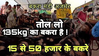 बकरे बेचने आए या बड़ी-बड़ी फेंकने आए😛 | bakra mandi ajmer 2023 | eid goat mandi ajmer | pkraj vlogs