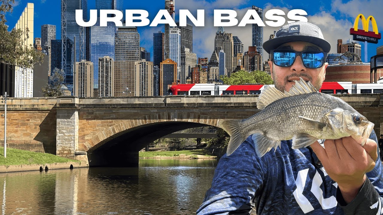 Urban Bass fishing in one of Sydney's BUSIEST suburbs