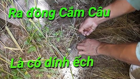 CẮM CÂU ÊCH/CUỘC SỐNG ĐỒNG QUÊ/MIỀN TÂY-TT46