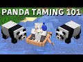 HOW DO YOU TAME A PANDA? (and minecraft jungle tree house update #2)
