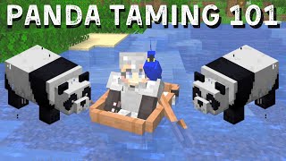 HOW DO YOU TAME A PANDA? (and minecraft jungle tree house update #2)