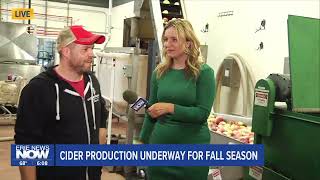 Which Apples Make the best Cider