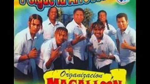 organizacion magallon el palomito