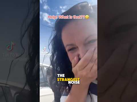 It made the funniest noise ever🤣