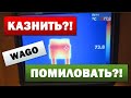 WAGO. Запретить Нельзя Помиловать?!