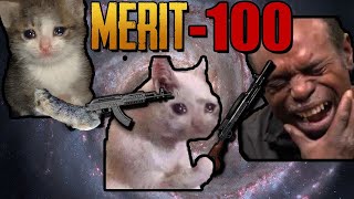 MERIT: -100