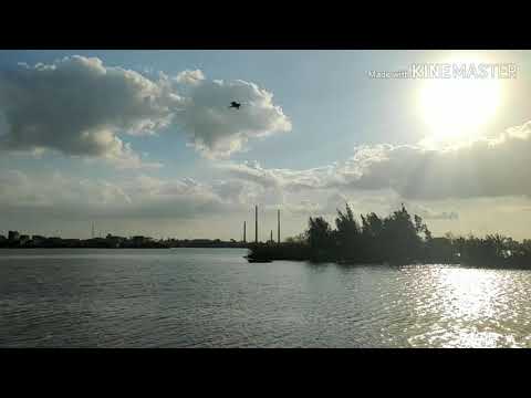 أحبكم تكرهوني مواال ع الرايق