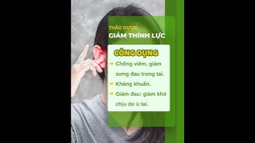 Lá nguyệt quế có công dụng gì ? Thảo Dược TV