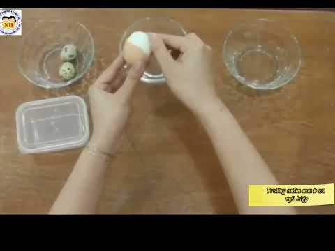 Hướng dẫn trẻ kỹ năng: Bóc vỏ quả trứng