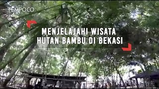 Menjelajahi Wisata Hutan Bambu di Bekasi