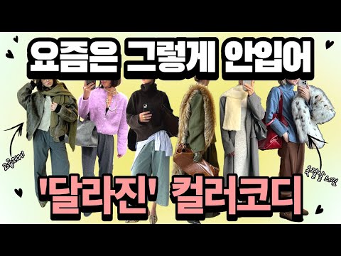 작년 그 컬러?❌ 올해 겨울 컬러코디는 달라요💗