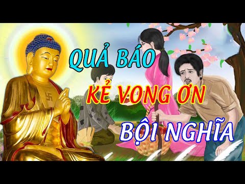 Video Qủa Báo Bội Tín Vong Ơn Bội Nghĩa Nhận Cái Kết Đắt Giá... - youtube