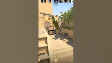 Molly on him 🤣 #counterstrike #cs2 #hemzigaming #bombkills #molotovcocktail