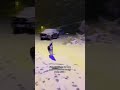 Sibirya kurdu kar topu oynuyor (yiyor)
