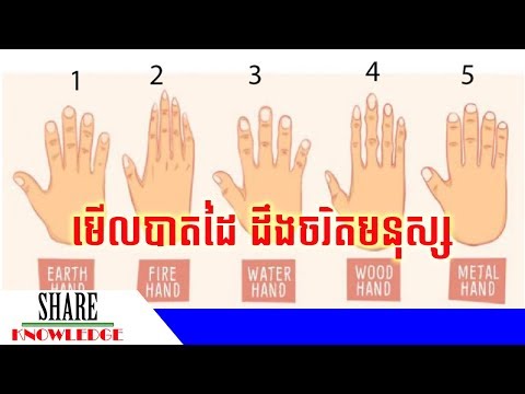 ទម្រង់បាតដៃទាំង ៥ ប្រភេទនេះ អាចប្រាប់ពីបុគ្គលិកលក្ខណៈរបស់មនុស្សបាន