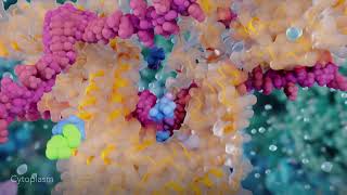 High-end 3D animation on LINE-1 reverse transcriptase