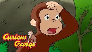 George Predicts the Seasons  Curious George  Kids Cartoon  Kids Movies