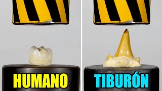 DIENTES vs PRENSA