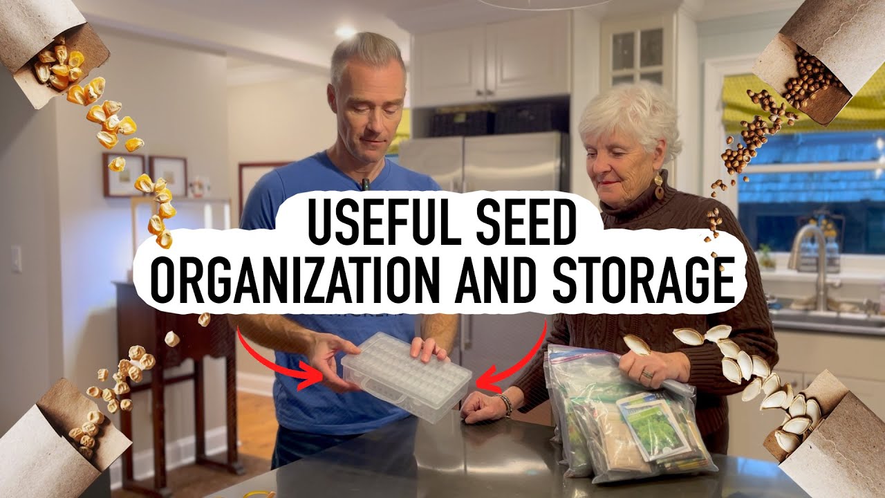 Seed Organization and Storage TIPS - YouTube