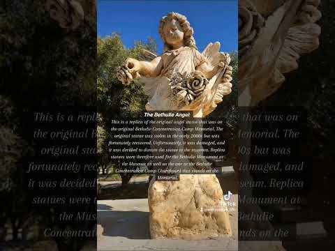 Video: Wapiganaji kutoka safu ya Marcus Aurelius