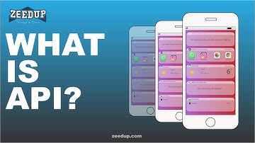 What is an API ? Application Programming Interface in a simple Animated 3D Video