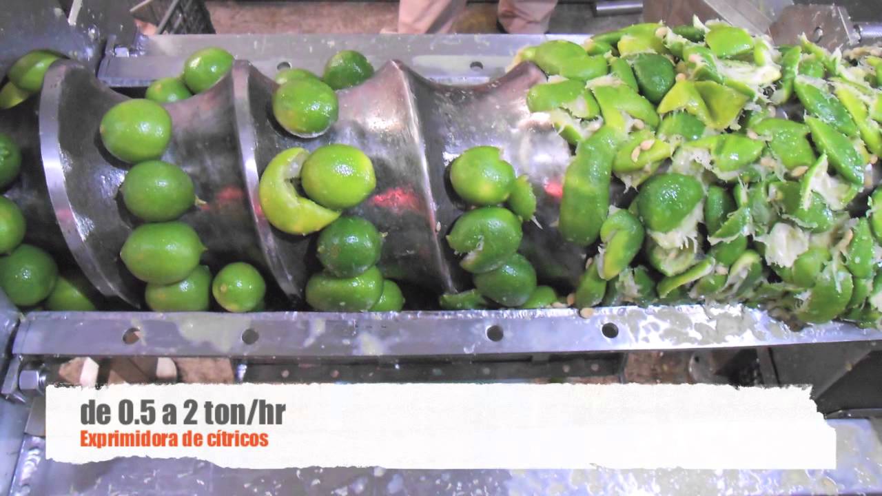 zona al revés camino Exprimidora de citricos naranjas limones - YouTube