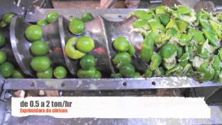 Exprimidora de citricos naranjas limones - YouTube