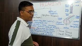 Priapism (hindi) Causes Symptoms Treatment Management @RinkeshPariyani @PathoPharma