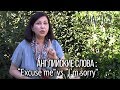 Осторожно с интонацией в  "Excuse me" и "I'm sorry"! Она меняет смысл.  Урок английского. Часть 3