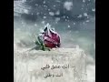 انتي وردتي التي اتنفسهها 