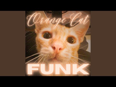 Orange Cat FUNK