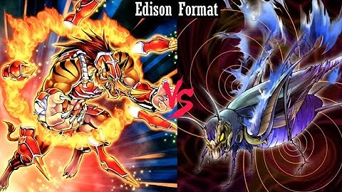 Gladiator Beasts vs Insect Quickdraw (Edison Format)