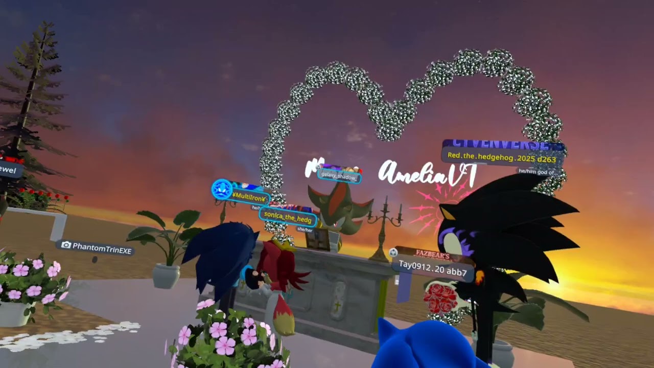 Multi Galaxy Iron and Sonica The Hedgewolf's Wedding 