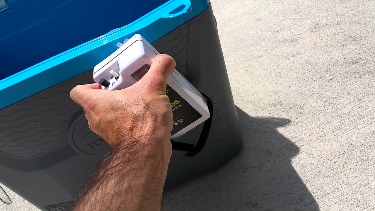 SIMPLY COOLER LIVE WELL YouTube