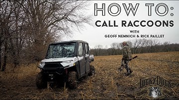 How To Call In 20 Raccoons in ONE Day! | The Last Stand: Tips, Tricks, and Tactics
