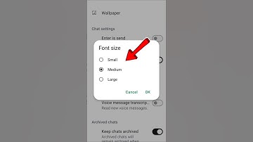 Whatsapp font size kaise change kare I how to change font size in Whatsapp 😮 #whatsapptricks