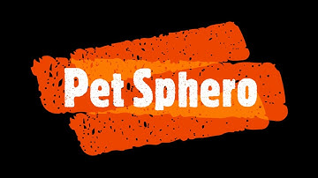 Pet Sphero Video Prototype and Product Pitch