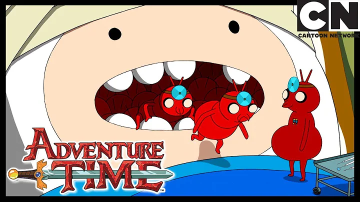 Adventure Time | Every Episode Ever - Season 6 | Cartoon Network