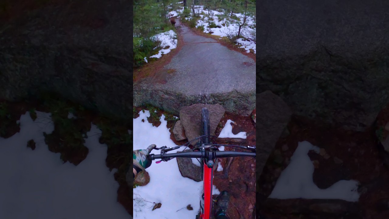 Hardtail mountain biking with husky and his friend 